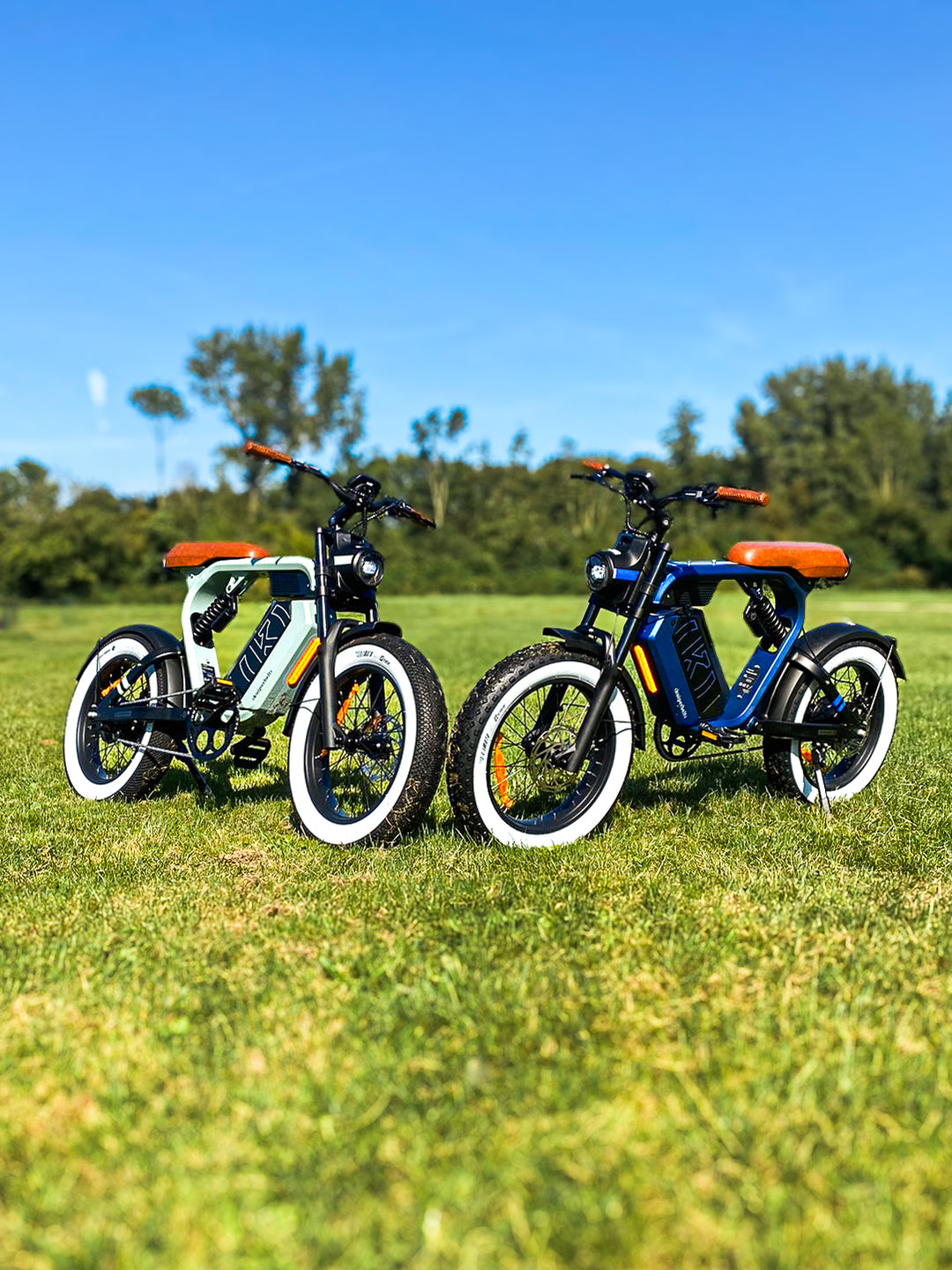 Kuiperbelt | S1 - DikkeFiets