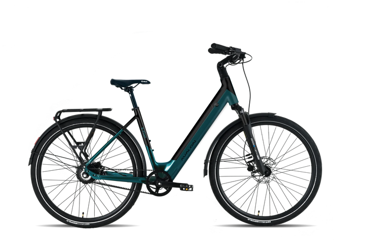 Avalon I E-Flow - DikkeFiets