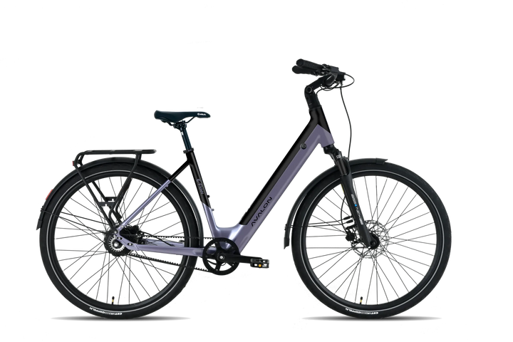 Avalon I E-Flow - DikkeFiets