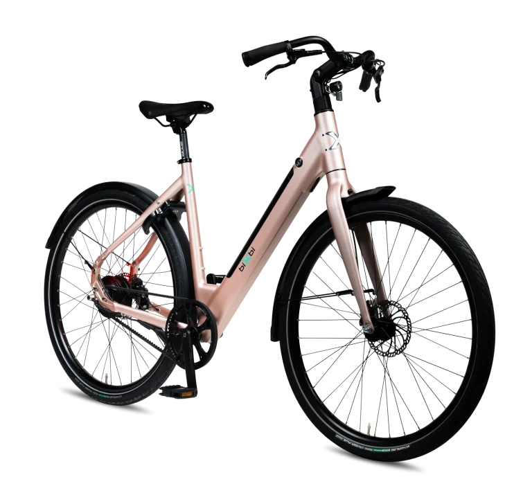 biXbi FAE - DikkeFiets