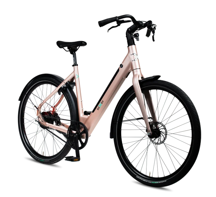biXbi FAE - DikkeFiets