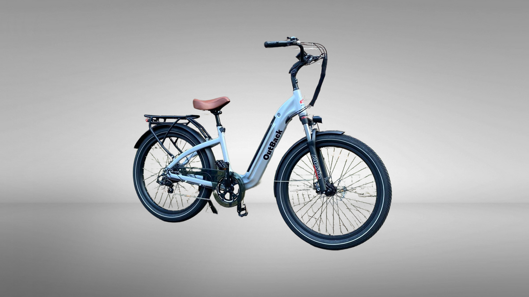 DIKKEFIETS™ | 'OUTBACK 27.5 inch' - DikkeFiets