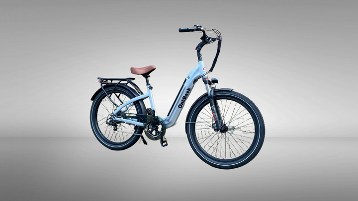 DIKKEFIETS™ | 'OUTBACK 27.5 inch' - DikkeFiets