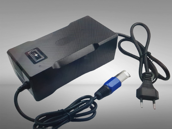 DikkeFiets™ | 'Oplader grote pin' - DikkeFiets